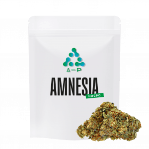 HHCPO Amnesia