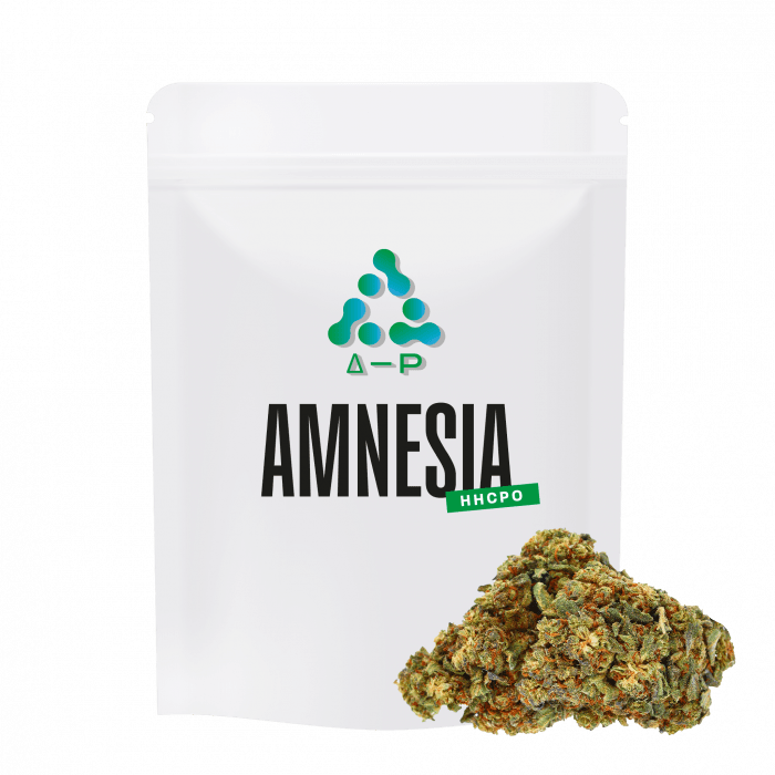 HHCPO Amnesia