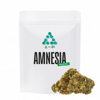 HHCPO Amnesia